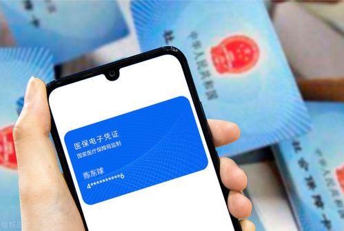 明德24小时医保套取实操指南：老司机分享高效安全操作流程